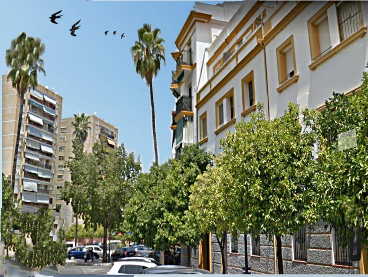 סביליה Apartamento San Juan De Dios מראה חיצוני תמונה